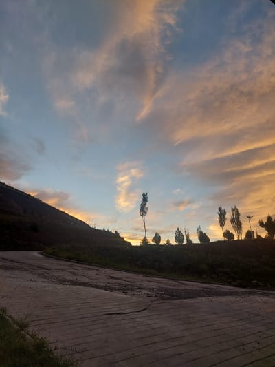 The image depicts a natural landscape with a road in the foreground and a hill with trees in the background. The sky is filled with colorful clouds, suggesting a sunset or sunrise. The road appears to be made of concrete with visible grooves and some debris scattered on its surface. The hill is covered with vegetation and scattered trees. Several silhouetted trees are visible on the crest of the hill, some appearing slender and tall, others more bushy. A lamppost is also visible among the trees. The overall scene evokes a sense of natural beauty and tranquility. There are no people or animals visible in the image. The provided context states the location is in the city of Bordunskiy, Kyrgyzstan, however, this is a mountainous region and may not be within city limits.
