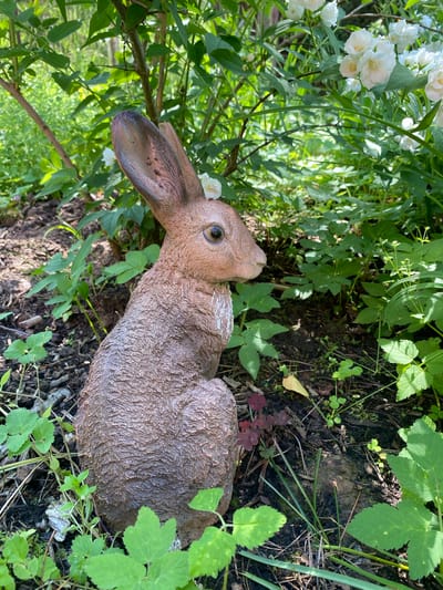 A detailed, eye-level, medium shot captures a brown, textured rabbit statue sitting in a garden. The statue is positioned on the left side of the frame, facing right, with its ears upright and its head slightly tilted. A small white flower rests on its head. The rabbit is surrounded by lush green foliage and dark soil. Behind the statue, a dense arrangement of green leaves and branches forms the backdrop. In the upper right portion of the frame, delicate white flowers with yellow centers are visible amidst the greenery. The ground is covered with soil, dried leaves, and scattered small plants. The lighting suggests it is daytime, with sunlight filtering through the leaves, creating dappled shadows. The scene appears to be an outdoor garden setting. There are no people or animals present in the image. The location is not specified as Korvet, Russia.