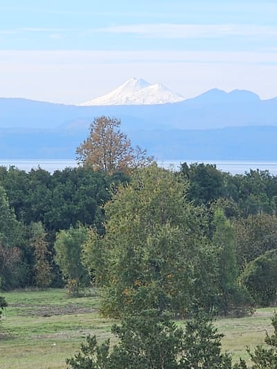 The image shows a view of a snow-capped mountain across a body of water from a grassy field and trees. The exact location is not discernible from the image alone, but it is stated as Villarrica, Chile. There are no people visible in the image. The scene contains the natural elements of mountain, sky, water, trees and grass.