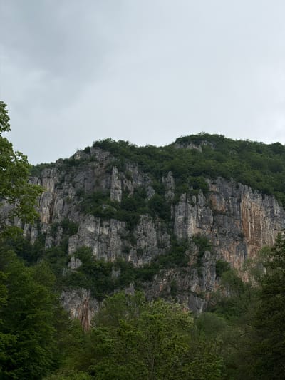 The image depicts a rocky cliff face covered in vegetation on its summit and sides. The cliff appears to be composed of layered grey rock formations. Trees and shrubs are visible both at the top and bottom of the cliff. The sky is overcast. The image does not contain any visible people or actions. The location is Dimitrovgrad Municipality, Serbia.