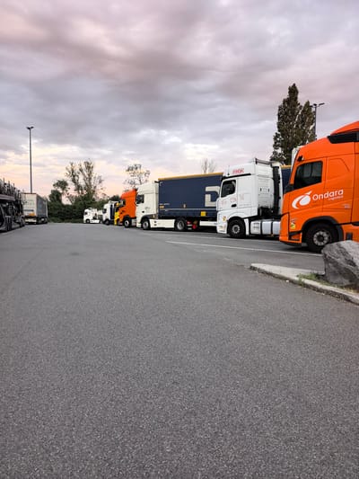 The image shows a row of parked semi-trailer trucks at a rest stop in Saint-Aybert, France. The sky is overcast with soft, pastel-colored clouds, suggesting either early morning or late evening. The lighting is dim, creating a muted atmosphere. The trucks are of various colors, including white, orange, and yellow, and some have trailers attached with visible logos and text.

The truck in the foreground on the right is bright orange and features the text "Ondara Logistica" and "460". To its left, a white truck has "FREJA" prominently displayed on its cab, along with smaller graphics and text. Another white truck behind it has a blue trailer with a large white "G" logo. Further down the line, there's an orange truck and more white trucks, some with trailers. The trucks are parked on a paved lot, with a grassy verge and a large rock visible on the right side of the frame. Trees and foliage line the background, partially obscuring what might be buildings or other structures. A single lamppost stands tall on the left side of the image. The scene depicts a quiet moment at a truck stop, with the vehicles stationary, likely during a break for the drivers. There are no people visible in the image.