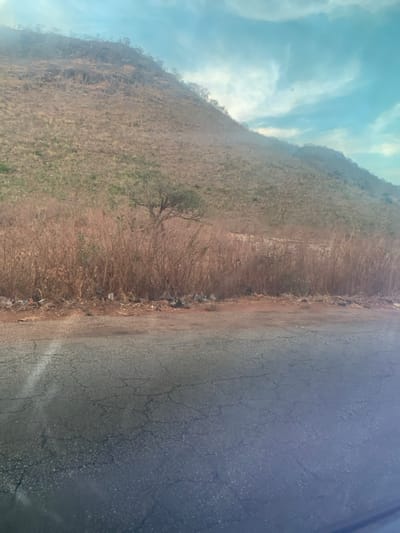 The image captures a roadside scene in Rimin Ziem, Nigeria, under a hazy, light blue sky with scattered white clouds. The foreground consists of a dark grey asphalt road surface exhibiting numerous cracks. Immediately adjacent to the road, a strip of reddish-brown soil is visible, upon which scattered litter, including plastic bags and various debris, rests at the base of a dense, waist-high barrier of dry, reddish-brown, reedy vegetation. Behind this vegetation, a single prominent tree with green foliage is centrally located at the base of a large, steep hillside. The hillside, which dominates the background, is covered with sparse, dry, light brown and greenish vegetation, interspersed with rocky outcrops and smaller, leafless trees, receding into an atmospheric haze. No individuals or discernible actions are present in the frame.