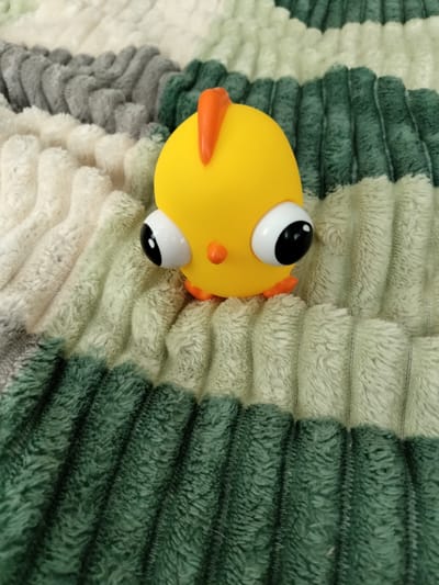 This media file is a close-up, top-down shot of a yellow rubber chicken toy. The toy has large, bulging eyes with black pupils, a small orange beak, and a single orange crest on its head. Its feet are also orange. The toy is resting on a soft, plush blanket that features horizontal ridges in alternating stripes of cream, light gray, and dark green. The texture of the blanket appears soft and slightly fuzzy. The lighting suggests an indoor setting, possibly in daylight. There is no visible text in the image. The scene is static, with the toy simply placed on the blanket. The overall impression is one of a playful and simple object.