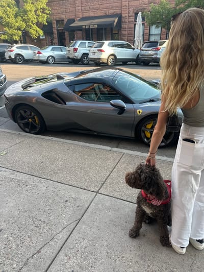 A street-level image depicts a gray Ferrari F8 Tributo sports car parked on an asphalt street in front of "THE CITY BUILDING" at 205 South Mill Street, Aspen, Colorado, United States. The building facade is constructed of reddish-brown stone or brick, featuring a dark awning over its entrance. An outdoor dining umbrella is visible to the right of the building.
On the adjacent light gray concrete sidewalk, a woman with long, wavy blonde hair is viewed from behind, wearing a light olive green tank top, white wide-leg pants, and white sneakers. Her right hand is extended, gently petting the head of a seated medium-sized, dark brown, curly-haired dog. The dog is wearing a red harness with a pattern. A white smartphone is partially visible in the woman's right rear pocket.
The Ferrari features black multi-spoke wheels with visible yellow brake calipers and the iconic Ferrari emblem on its fender. Several other vehicles, including a white SUV, a silver sedan, and additional utility vehicles, are parked along the street behind the Ferrari. Green trees are visible on the left side of the scene. The environment is illuminated by natural light, consistent with daytime conditions.