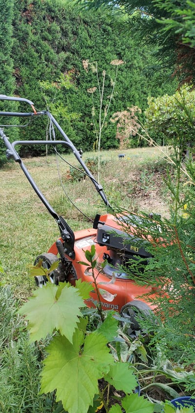 This media file depicts an orange Husqvarna lawnmower positioned on a grassy area in a garden. The lawnmower is partially obscured by lush green foliage from surrounding trees and plants, including what appears to be cypress trees and grape leaves in the foreground. The scene is oriented vertically, suggesting the photo was taken with the device in portrait mode and then rotated.

The lawnmower's handle is clearly visible, along with its engine cover, one wheel, and the Husqvarna branding. There are warning symbols on the engine cover. The background shows a patch of dry earth and more greenery. The time of day appears to be daytime, likely morning or afternoon, with natural lighting. There are no people visible in the image, and the overall impression is one of a garden setting, possibly in Greece given the location context. The scene is static, with no apparent activity taking place. The focus is on the lawnmower and its natural surroundings.