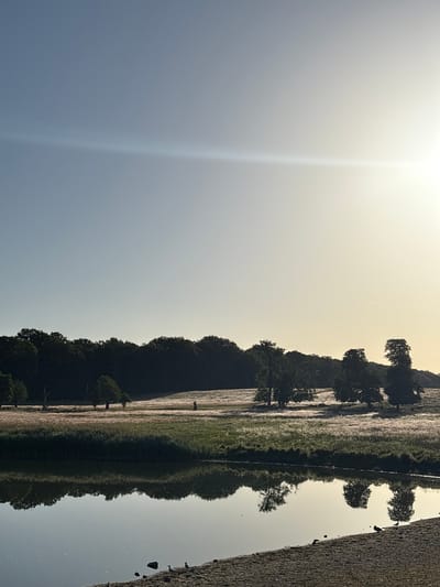 This is a vertical, slightly overexposed photograph of a landscape. The scene appears to be a body of water, possibly a canal or river, reflecting trees and a grassy bank. The water's surface is calm and acts as a mirror, creating a symmetrical reflection of the trees and vegetation on the opposite bank. On the right side of the image, a textured embankment, possibly made of gravel or rough stone, is visible, with a few small birds perched on it. The sky takes up the left side of the frame and is bright, with a lens flare or bright light source visible, suggesting it is daytime, likely early morning or late afternoon due to the soft lighting. The overall mood is serene and peaceful, with the reflections adding a sense of calm and symmetry. No text is visible in the image. The location context suggests this could be a park or natural area in Kongens Lyngby, Denmark.