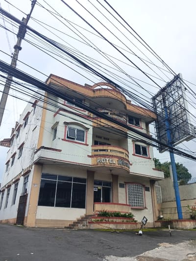 The image displays "HOTEL WIGUNA," a three-story commercial building situated in Palayan, Philippines. The building features an off-white facade with yellow-orange trim and red accents, exhibiting visible signs of weathering and discoloration. A rounded balcony on the second floor displays "HOTEL WIGUNA" in raised gold letters. The ground floor is dominated by large, dark-paned windows, with a central entrance marked by a "J&C" logo on its glass door, accessible via a short set of concrete steps. A distinctive glass block window is present on the right side of the ground floor. A dense network of black electrical and communication wires spans across the upper portion of the frame, partially obscuring the building's roof and the overcast sky. A tall grey utility pole, also laden with wires, is visible on the far left. To the right of the hotel stands a large, empty metal billboard structure supported by a blue pole. The foreground consists of a dark, cracked asphalt or concrete surface, indicating an uphill slope towards the hotel. Small potted plants are arranged in planters in front of the entrance steps. No individuals or active subjects are present in the scene.