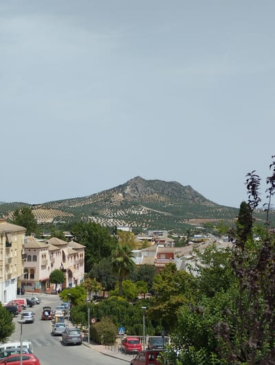 This is a photograph of a street scene in Priego de Córdoba, Spain, with a mountain range in the background. In the foreground, there are several buildings, including a tall, light-colored apartment building on the left and a row of three-story buildings with arched windows and terracotta roofs. A street runs through the middle of the scene, with parked cars and a few pedestrians. A man is seen with the trunk of his car open. A crosswalk is visible on the street. In the midground, there are more buildings and trees. The background is dominated by a large, rugged mountain covered in olive groves. The sky is a pale blue with some wispy clouds. The overall impression is one of a sunny day in a Mediterranean town.
