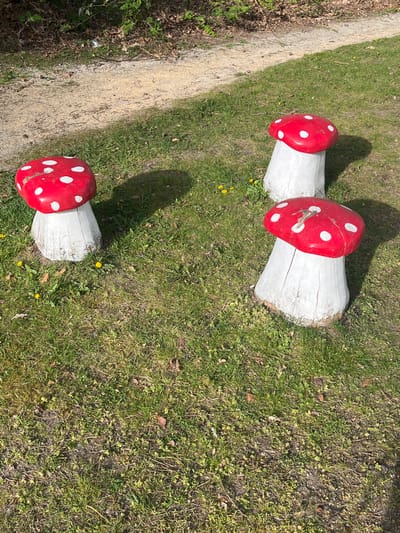 The image shows an outdoor scene in the Borough of Runnymede, United Kingdom. Three artificial mushrooms, red with white spots and white stems, are arranged on a patch of green grass. A dirt path borders the grassy area on the left side of the frame. The scene is lit with natural sunlight, casting shadows from the mushrooms onto the grass. The environment consists of grass, dirt, and some sparse vegetation. There are no people visible in the image.