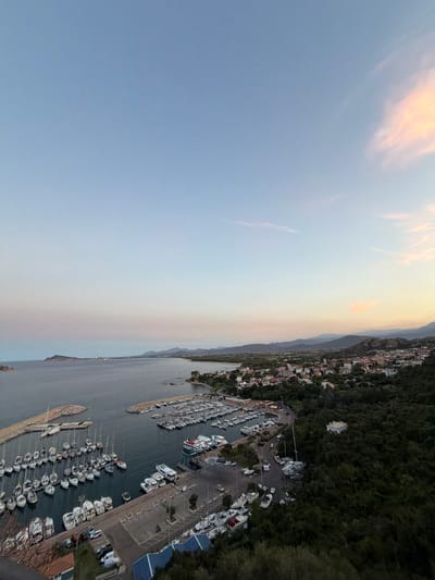 This is an aerial photograph of the Santa Maria Navarrese marina in Santa Maria Navarrese, Italy, taken during twilight. The sky is a gradient of light blue to pale pink, with a few wispy clouds illuminated by the setting sun.

The marina is filled with numerous boats of various sizes, predominantly white sailboats and motor yachts, docked in neat rows. Some larger vessels, including what appears to be a ferry or cruise ship, are also present. The water in the marina is calm and dark.

Adjacent to the marina is a town with buildings featuring red-tiled roofs, nestled among green trees. Hills and mountains form the backdrop of the town and the coastline. A road winds through the scene, connecting different areas and passing by parking lots with a few cars visible. The overall impression is of a serene coastal town at dusk.