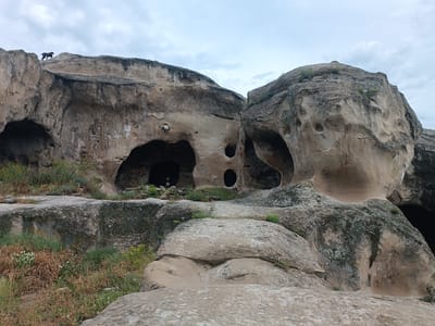 The image displays the cave city of Uplistsikhe, Georgia, a historical archaeological site carved into a rock massif. In the upper left portion of the image, a black dog stands on a rocky ledge. The foreground is occupied by rugged, eroded rock formations covered in sparse vegetation, including grasses and dried plants. The midground features the entrances to several caves, some appearing as dark openings in the rock face. One cave entrance on the left has a sign with some symbols. The rock surfaces are weathered and show evidence of natural erosion. The sky above is overcast with a cloudy, gray appearance. The overall scene depicts a natural and ancient man-made landscape under a subdued sky.