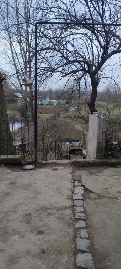 The image captures an outdoor, rural or semi-rural scene in Dolno Linevo, Bulgaria, under an overcast sky. The perspective is elevated, looking downward across a sloping landscape.
In the immediate foreground, the ground is a weathered, grey surface composed of concrete or packed earth. A vertical line of irregular grey paving stones is embedded in the ground, running down the center-right. To the left, a black metal pole is visible, from which a silver-colored, decorative watering can is suspended. Adjacent to this pole and a tree trunk, a yellow, sunflower-shaped ornament is affixed. A chain-link fence with a concrete base delineates the foreground on the left. To the right, a light-colored concrete pillar is present, topped with several small decorative figurines, including a blue and red figure.
Beyond the immediate foreground, the terrain descends into a cultivated area. Bare deciduous trees with intricate branch patterns dominate the midground, including a large, gnarled specimen on the right. On the far left, a small body of water is visible. The midground contains tilled garden plots and sparse vegetation, interspersed with various small structures, including a light blue or green tarp-covered building to the left, and a wooden gate. Scattered debris, such as tires and assorted materials, are visible among the bushes and ground cover. The background consists of a distant, hazy treeline against a uniformly light grey, overcast sky. No individuals are depicted in the scene.