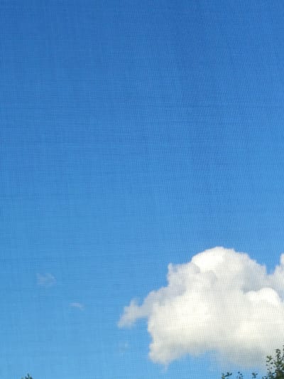 The image displays a clear blue sky with a few scattered white clouds. The texture of a screen or mesh is visible throughout the image, suggesting it might be a photograph taken through a window screen or similar material. In the lower right portion of the frame, a large, fluffy cumulus cloud is prominent. Smaller, less defined clouds are also present in the sky. The bottom edge of the image shows the tops of green foliage, likely trees or bushes, indicating an outdoor setting. The lighting suggests it is daytime, possibly mid-morning or afternoon, with bright sunlight illuminating the clouds. No people, objects, or text are visible. The scene conveys a peaceful and serene atmosphere.