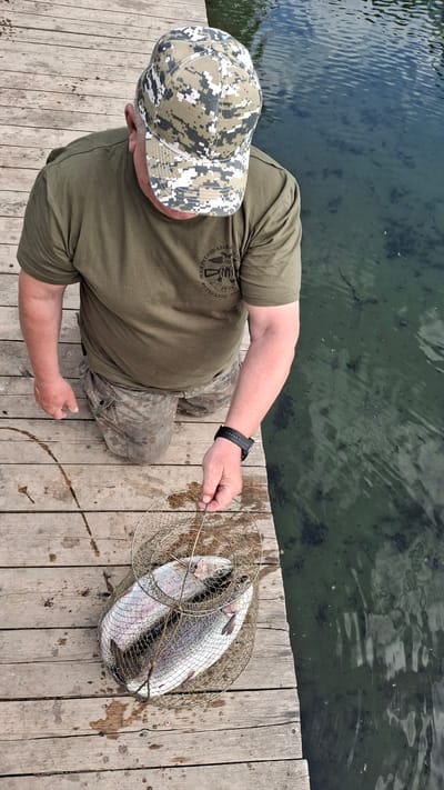 An overhead photograph captures a person on a weathered wooden pier in Kipen, Russia, alongside a body of water. The individual, seen from a top-down perspective, wears a short-sleeved olive-green t-shirt, camouflage-patterned trousers, and a digital camouflage baseball cap. A black digital watch is visible on their left wrist.
The person is actively engaged in fishing, holding a circular metal wire fishing basket, often called a creel or stringer. Inside the basket are two large, freshly caught fish, which appear to be rainbow trout, distinguished by their iridescent scales and prominent size. The wooden planks of the pier are damp in places and show signs of use, extending over clear, dark green water. Ripples are visible on the water's surface, and submerged dark areas, possibly aquatic plants or rocks, can be seen beneath, indicating a relatively clear and perhaps shallow water body.
Visible text on the green t-shirt, in Cyrillic, spells out "МЕЖДУНАРОДНАЯ АССОЦИАЦИЯ ВЕТЕРАНОВ" (International Association of Veterans), accompanied by an emblem or insignia. The image conveys a calm, daytime atmosphere, likely under overcast skies or indirect sunlight, as there are no harsh shadows. The overall scene depicts a successful fishing outing in a tranquil outdoor setting.