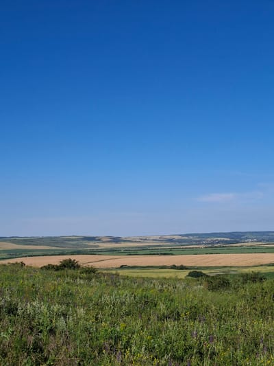 The image captures a vast, open landscape under a clear, bright blue sky. In the foreground, a dense field of green grass and wildflowers, including purple and yellow blooms, stretches across the frame. A small cluster of trees is visible in the mid-ground, beyond which lie rolling hills. The hills are segmented into various fields, some appearing golden-brown, suggesting crops like wheat or barley, while others are a vibrant green. In the distance, a small town or village is nestled amongst the hills, with scattered buildings visible. Power lines are subtly present, stretching across the agricultural landscape. The overall impression is one of a rural, serene countryside bathed in sunlight. The location is stated to be Krasnaya Skala, Russia.