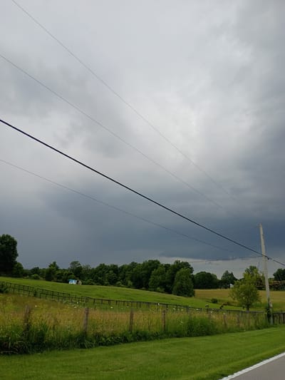 The image captures a rural roadside scene under an overcast sky, likely in the late afternoon given the diffused light. The primary subjects are utility poles with multiple wires stretching across the frame. The scene is divided horizontally, with the upper portion dominated by a grey, cloudy sky, suggesting impending or ongoing rain. Below the sky is a dark, possibly stormy, band of clouds.

The lower half of the image depicts a grassy field bordered by a wooden fence. Lush green grass covers the foreground, with taller, wilder grass and some flowering weeds closer to the fence. A line of trees forms a dense barrier behind the fence, with varied shades of green indicating different species. To the far right, a strip of well-maintained green lawn runs parallel to a paved road, suggested by a white line at the edge.

A small, light-colored utility box with blue markings is visible near the fence line amidst the trees. The presence of utility poles and wires indicates a populated area, though the overall atmosphere is one of natural, undeveloped landscape. No people are visible. The weather appears to be transitioning, with the clouds suggesting a change from fair to inclement conditions. The location context places this scene in Shelbyville, United States. The overall mood is somewhat somber due to the heavy cloud cover.
