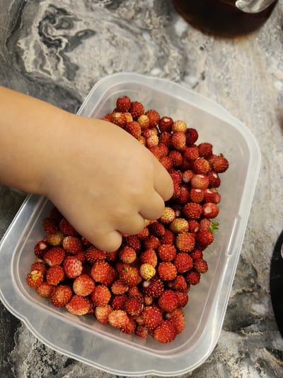 In Usovo-Tupik, Russia, a child's hand is reaching into a clear plastic container filled with numerous small, red wild strawberries. The container sits on a grey and black marbled countertop. A dark liquid is visible in a glass vessel in the upper right corner of the frame.