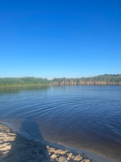 This is a landscape image with a strong horizontal division. On the left, a vast expanse of clear, bright blue sky dominates the frame. The sky transitions subtly to a lighter shade towards the right edge.

The right side of the image depicts a body of water with a sandy shore. The water is a deep blue and shows a pattern of gentle ripples, suggesting a light breeze. Along the edge of the water, a line of green reeds or tall grass creates a natural border, separating the water from a denser line of trees further inland. The trees appear to be a mix of green foliage and lighter, possibly dry, branches.

The sandy shore on the far right is textured, with visible sand formations and shadows cast by unseen objects, possibly from the photographer's perspective. The light suggests it is daytime, likely morning or afternoon, with the sun casting distinct shadows. The overall scene evokes a sense of natural tranquility and open space. There is no visible text in the image.