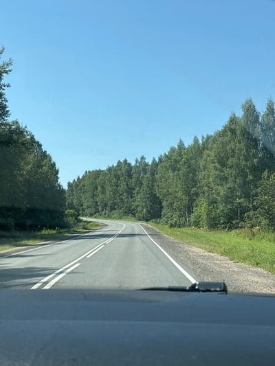 The image depicts a paved, two-lane road winding through a dense forest under a clear blue sky. The road has double white lines dividing the lanes and a gravel shoulder. On the right side of the road, there is a signpost. The view is from inside a vehicle, looking forward over the dashboard and windshield. The foliage consists of tall, green trees, with some appearing to be birch trees due to their lighter bark. The environment suggests a rural or natural setting. The location is identified as Igrishchi, Russia.
