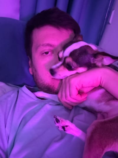 The image captures a close-up of a person and a dog, bathed in purple and pink light. The person, a male with short brown hair and a light beard, is lying down, with his head turned towards the camera. His right eye is visible, with a slight squint. A small dog, likely a Chihuahua mix with brown, white, and black markings, is resting on the person's chest, its head nestled against the person's hand. The dog appears to be asleep or relaxed. The person is wearing a light-colored t-shirt. The background consists of a blue surface, possibly a pillow or a blanket, and a darker blue curtain. The lighting suggests an indoor setting, potentially a bedroom. No specific details about the city of Tokaryovo, Russia, are present in the image.