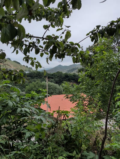 The image depicts a view through lush green foliage towards a village nestled in a valley in Toğanalı, Azerbaijan. In the foreground, dense green leaves and branches partially obscure the scene. Below the foliage, the terracotta tiled roof of a house is visible, along with a portion of a white building. Beyond the house, the landscape unfolds with rolling hills covered in various shades of green trees. A utility pole with wires is situated to the right of the house. In the distance, a mountain range with a hazy, overcast sky completes the backdrop. The overall impression is one of a rural, natural setting.