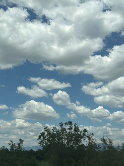 The image shows a partly cloudy sky over a landscape. The sky is a vibrant blue, dotted with numerous fluffy white clouds of varying sizes. Some clouds are large and dense, while others are smaller and more scattered. In the foreground, there is a dense cluster of dark green trees and foliage, with a few branches extending upwards into the sky. In the far distance, blurred mountains can be seen under the horizon line. The scene appears to be a natural landscape, likely rural, and there are no people or man-made structures clearly visible. The lighting suggests it is daytime, with the sun illuminating the clouds from above and casting shadows on the foliage. The location is identified as Zavoy, Bulgaria.