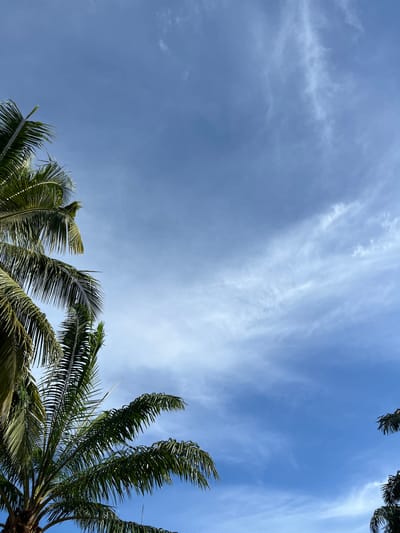 The image shows a view of the sky with palm tree fronds in the foreground and midground. The sky is a vibrant blue, with scattered wispy white clouds. The palm fronds are a deep green and appear healthy. The scene suggests an outdoor setting, likely in a tropical or subtropical climate, consistent with Lhokiboh, Indonesia. No people or specific landmarks are visible.