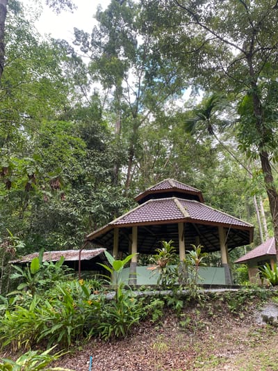 The image shows a structure with a multi-tiered, tiled roof in a lush, green environment. The setting appears to be outdoors, possibly a garden or a natural park area, consistent with the location of Tambon Thai Mueang in Thailand. The building is surrounded by dense foliage, including various types of trees, bushes, and plants, suggesting a tropical climate. The architecture of the structure is likely traditional or influenced by local designs. The image lacks people, indicating a static, uninhabited scene.