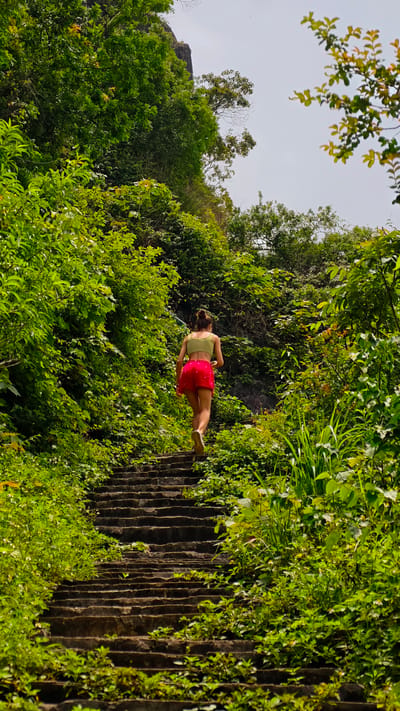 A young woman with her hair in a bun is seen from behind, ascending a stone staircase that is overgrown with lush green vegetation. She is wearing a pale green crop top and a bright red skirt. The staircase is bordered by dense foliage, with trees and plants forming a verdant canopy overhead. In the background, a rocky cliff face is partially visible through the leaves. The sky is a light, hazy grey. This scene appears to be located in a natural, outdoor setting, likely a park or a hiking trail, possibly within or near Tam Thanh Ward, Vietnam, given the dense tropical vegetation. The woman is engaged in the action of walking or running up the stairs.