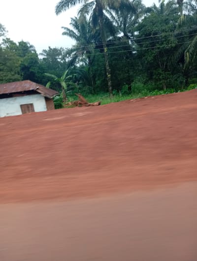 A blurry, horizontal image depicts a roadside scene with a small, weathered structure and lush vegetation. In the upper left quadrant, a simple white building with a rusted metal roof is visible. A wooden door is apparent on its facade. To the right of the building, a banana tree stands, and beyond it, a dense wall of green trees and palm fronds fills the background. Electrical wires are strung across the top portion of the scene. The foreground is dominated by a wide expanse of reddish-brown earth, blurred by motion, suggesting the image was taken from a moving vehicle. The sky is overcast and pale. The location is identified as Imilike, Nigeria.