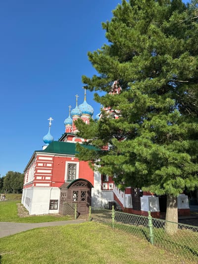 This is a full, eye-level, vertical shot of the Church of the Ascension in Terpilovo, Russia, on a clear, sunny day. The church is painted bright red with white detailing and has a green roof. Several blue onion domes with gold crosses top the structure. A large pine tree dominates the right side of the frame, obscuring a portion of the church. In the foreground, a grassy lawn is bordered by a narrow, gray paved walkway and a green metal fence. The background consists of more trees and a clear blue sky.
