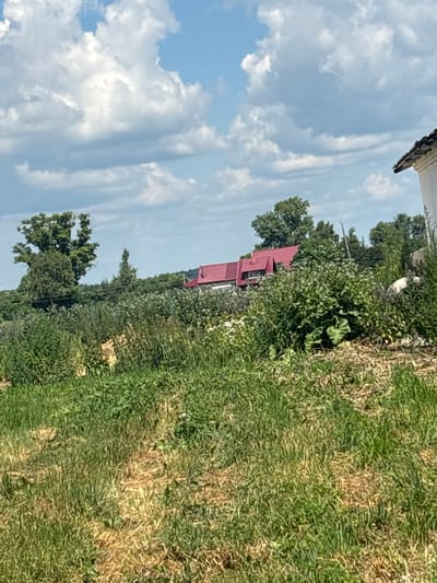 This image depicts a rural landscape with a house featuring a red roof in the background, situated in the city of Ves', Russia. The foreground is dominated by tall, green grass and some dried vegetation, suggesting a natural or uncultivated area. Behind the grass, there is a dense cluster of green bushes and trees. A portion of a white building with a dark-tiled roof is visible on the far right side of the image. The sky above is blue with scattered white clouds.