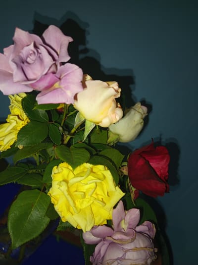 This image shows a close-up of a bouquet of roses against a dark teal background. The bouquet contains roses of various colors including light purple, yellow, cream, and red, as well as green leaves. The lighting creates shadows on the background. The scene is indoors, and there is no indication of the specific location within Чэрвеньскі сельскі Савет, Belarus. There are no people or actions depicted in the image.