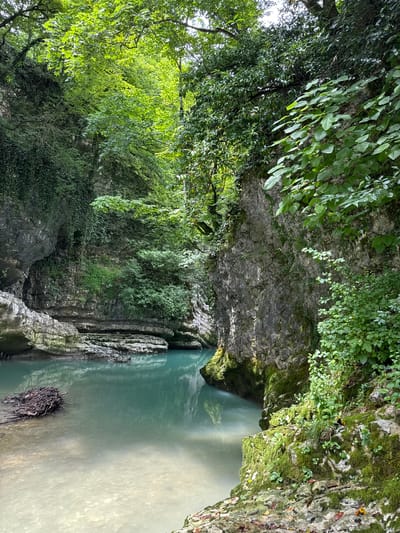 The image shows a narrow canyon with a turquoise river flowing through it. The canyon walls are steep and rocky, covered in lush green vegetation. The river is clear and shallow in places, revealing a rocky riverbed. In the foreground, a pile of branches and debris is visible in the water. The sun filters through the dense canopy of trees overhead, casting dappled light on the water and rocks. This scene is characteristic of the Martvili Canyon in Lebache, Georgia, known for its dramatic natural beauty and vibrant water color.