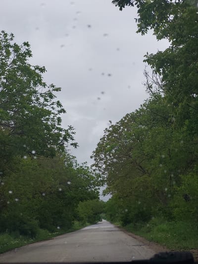 The photograph depicts a road in Lepitsa, Bulgaria, as seen from a low angle. A gray, overcast sky is visible above, bordered by trees with green foliage on either side of the road. The road itself is paved and appears wet, possibly due to rain. White spots, likely raindrops on the camera lens, are scattered throughout the image. A portion of a vehicle is visible on the right. There are no people or subjects in the image. The interaction is between the environment and the road.