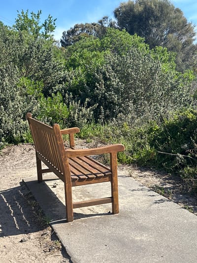A wooden bench sits on a gray concrete walkway. The bench is positioned to the right, with its back facing the viewer. Dense green bushes and trees fill the left side of the frame, with a patch of blue sky visible in the upper left corner. The scene is brightly lit, casting shadows from the bench onto the walkway. The overall impression is one of a peaceful, natural setting.