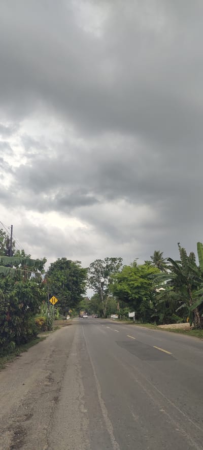 The image captures a perspective view of a two-lane asphalt road in Matangpanyang, Indonesia, under a heavily overcast and grey sky. The road stretches into the distance, showing a yellow centerline that is partly worn and patched in areas. A dirt shoulder runs along the left side of the road.
Both sides of the road are bordered by abundant, dense tropical vegetation, including tall green trees, large-leafed banana plants, and various bushes, creating a lush corridor. In the mid-ground on the left, a yellow diamond-shaped road sign with a black symbol indicating a road narrowing (often for a narrow bridge or section of road) is clearly visible. Further down the road, several vehicles, including a white car, are discernible, indicating traffic. Other unidentifiable white rectangular signs are scattered on the distant roadside. A dark utility pole with wires is partially visible on the far left edge of the frame.
The sky is completely covered with thick, dark grey clouds, suggesting an overcast day, possibly before or after rain. The overall lighting indicates daytime. No specific human figures or detailed activities are clearly visible beyond the distant vehicles. There is no readable text on any of the visible signs.