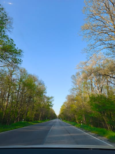 The image shows a straight asphalt road receding into the distance. The road is flanked on both sides by trees, their branches reaching upwards to meet overhead, creating a tunnel-like effect. The trees on the left are in full leaf, while those on the right have lighter foliage, some appearing almost bare. The sky above is clear and blue. A dark horizontal line, likely the dashboard of a vehicle, is visible at the bottom of the frame. The scene is likely located on a rural road in Staro Oriahovo, Bulgaria.