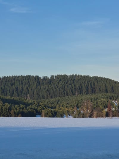 A landscape depicts a snow-covered plain on the right side of the frame, adjacent to a dense forest stretching along the middle. To the left is a clear, blue sky. The location is in the city of Makarovo, Russia.