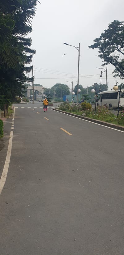 A wide-angle, ground-level shot captures a paved road in Chor Sahapur, Bangladesh, under an overcast sky. A woman wearing a yellow headscarf and a patterned skirt walks down the center of the road. She is alone on the road, walking away from the camera. To the left of the road, there is a row of dark green, coniferous trees, followed by a white dotted line marking the edge of the road. Further down the road, a large, arched gateway with two white buses passing through it is visible. To the right of the road, a manicured flower bed with pink and white flowers runs along the curb. Several lampposts with spherical lights are spaced along the right side of the road. A white minibus is parked on the right side of the road near the flower bed, with a person working near its rear. In the distance, more trees and buildings are visible. A single bird is captured in flight in the sky.