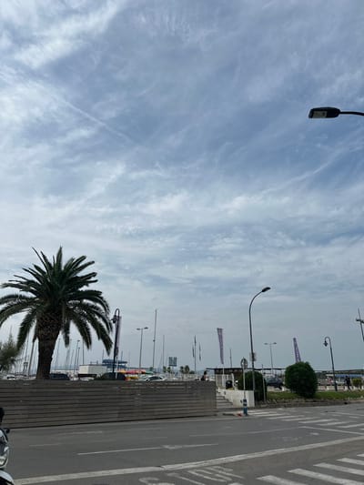 The image displays an outdoor scene in L'estartit, Spain, featuring a road adjacent to a marina under a partially cloudy sky. The sky is dominated by diffuse altocumulus clouds, with a visible aircraft contrail intersecting the upper-left quadrant.

In the foreground, a two-lane asphalt road runs horizontally across the lower third of the frame. White road markings include a "STOP" line and a partial zebra crosswalk on the right. A section of a white vehicle, possibly a scooter or motorcycle, is visible on the far lower-left.

A prominent, mature palm tree with a thick, segmented trunk and numerous green fronds stands on the left side of the image, rooted behind a light-colored, horizontally slatted wooden barrier. This barrier extends across the midground, separating the road from an elevated, paved area.

Behind the barrier, to the right of the palm tree, a marina is visible, characterized by numerous vertical masts of docked sailboats. Several tall, purple flags, possibly promotional banners with partial text like "RENTAL" visible, are erected along the marina side. Multiple black, modern streetlights with curved poles are positioned throughout the scene. A small, dark green bush is present on the right, behind the barrier.

At least one individual is discernibly seated on the far side of the wooden barrier, near the center-right of the image. Vehicles are parked further back in the marina area. Distant land or hills are faintly visible on the horizon line. The scene is illuminated by daylight, consistent with an overcast or partly cloudy condition.