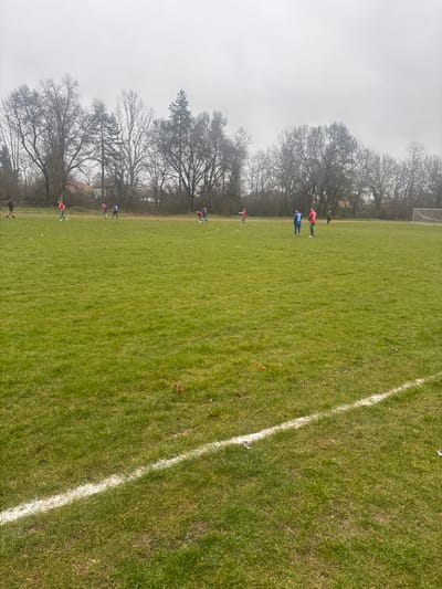 The image displays an outdoor football (soccer) pitch in Dushevo, Bulgaria, under an overcast sky. The field is predominantly green grass, with some visible wear and scattered brown leaves in the foreground. A white painted line extends diagonally across the bottom right portion of the field. In the mid-ground and background, approximately twelve individuals are present, dressed in athletic attire. Players are observed in red and green striped jerseys (three), blue jerseys (four, one with number 11 visible), red jerseys (three), and dark clothing (one). A white football goal with netting is situated on the far right side of the field. A dirt track runs horizontally behind the playing area. The background features a dense treeline composed primarily of bare deciduous trees and some evergreens, with faint outlines of structures visible beyond. The individuals are dispersed across the field, some standing, others in various stages of movement consistent with a football game or practice session.
