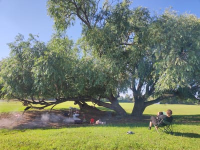 This image depicts an outdoor scene under a large, mature tree with extensive branches, casting a significant shadow on the grassy ground. The location is identified as Архангель ауылдық округі, Kazakhstan. In the shaded area beneath the tree, there is evidence of a gathering or camping activity. A small portable grill or fire pit is visible, emitting smoke, with various items scattered around it, including a red jerrycan, a blue cooler, and what appears to be bags or supplies. Further to the right, a person is seated in a folding green chair, facing away from the camera, appearing to be reading a book. The surrounding environment is a large, open grassy field under a clear blue sky.