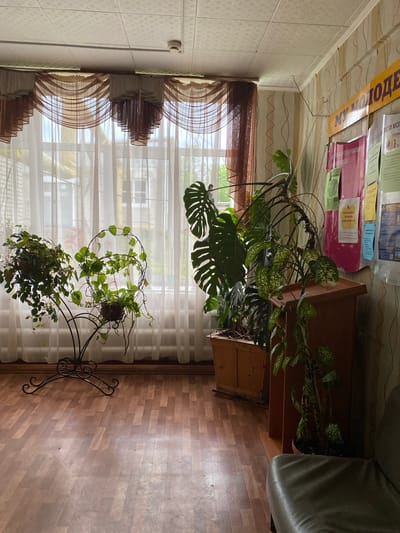 The photograph captures a sunlit interior scene, likely a room in a building, with an emphasis on the window and the various plants within the space. The floor is made of parquet.
Near the window, two potted plants sit atop a wrought-iron plant stand. The window is partly covered by sheer white curtains with a decorative brown valance at the top. A monstera plant is visible in the mid-ground of the photo, and more potted plants sit behind and to the side of it on top of what appears to be a wooden cabinet. A gray armchair is also partially visible in the top right corner. A bulletin board is affixed to the wall near the ceiling.
The location is identified as Danilov, Russia. The image is static; no actions or interactions are visible.