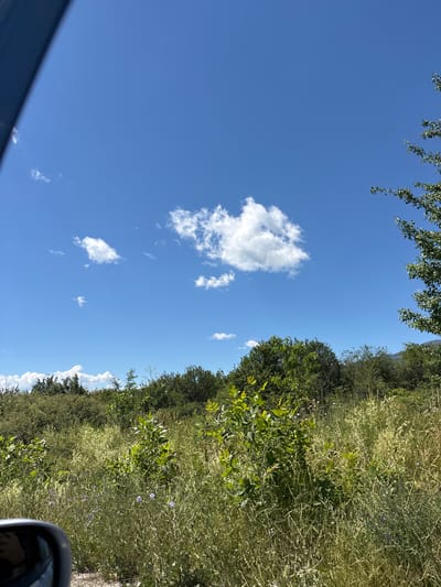 A low-angle, full shot captures a bright, sunny day in Mirkovo, Bulgaria. The sky, a vibrant blue, is dotted with a few fluffy white clouds. A dark blue, possibly car, element occupies the top left corner of the frame, obscuring a portion of the scene. The middle ground is filled with lush green vegetation, featuring a mix of trees and tall grasses. Scattered throughout the grass are small purple wildflowers. In the far right of the frame, the upper branches of a leafy tree are visible against the sky. The overall impression is one of a serene natural landscape bathed in daylight.
