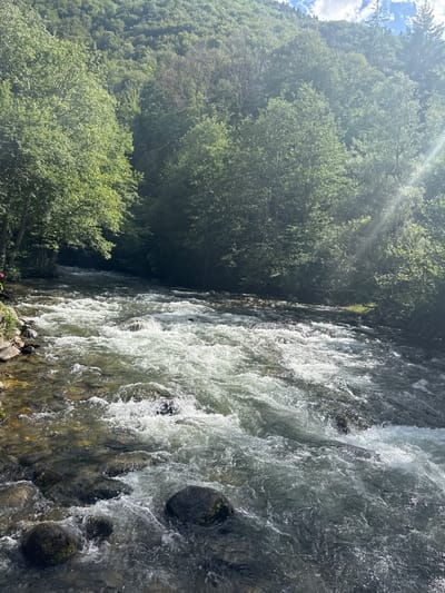 The image shows a sun-drenched mountain stream flowing through a lush green forest. The water is clear and turbulent, with white foam cresting over rocks in its path. The banks of the stream are lined with trees, their leaves a vibrant green, and the forest extends up a steep incline behind them. Sunlight filters through the canopy, creating dappled patterns on the water and illuminating the scene with a bright, warm glow. The overall impression is one of natural beauty and tranquility. The location is the city of Pastra, Bulgaria, a place known for its scenic landscapes and pristine nature.
