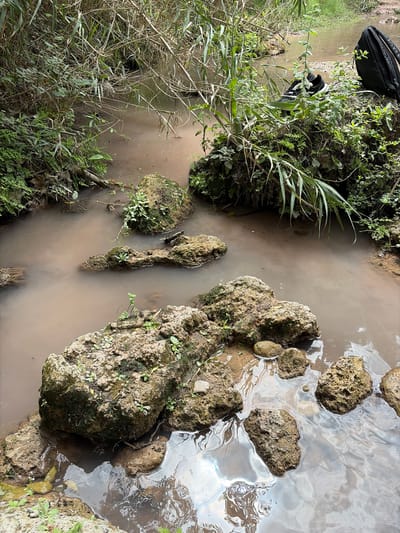 This image depicts a narrow, shallow stream with murky brown water flowing over a rocky bed. The banks of the stream are overgrown with dense green vegetation, including reeds, grasses, and leafy plants. Several large, moss-covered rocks are submerged in the water, creating small obstacles and ripples. In the upper right portion of the image, resting on a large rock amidst the foliage, are a pair of black athletic shoes and a black backpack. The scene appears to be a natural outdoor environment, possibly a park or a secluded area near Anna, Spain, given the vegetation and watercourse. There are no people visible in the frame.