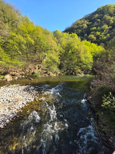 The image shows a view of a river in the vicinity of Бачковски манастир, Bulgaria. The river flows between banks covered with trees and vegetation. The water is turbulent in some sections, creating white foam. The riverbed is visible with rocks and pebbles. A hill covered with forest is visible on one side under a clear blue sky.