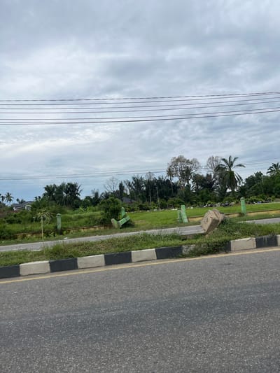 This media file depicts an outdoor scene in Tanahterban, Indonesia. The image is oriented vertically, showing a road on the right and a grassy area with trees and power lines on the left. The road appears to be asphalt and has a black and white striped curb with a yellow line. The grassy area is lined with a low barrier and features several green benches, suggesting a public space or park. Lush green vegetation, including palm trees and other tropical foliage, dominates the left side of the image. Power lines are strung across the sky. The sky is overcast with diffused light, indicating a cloudy day. A concrete block lies on the grass near the curb. The overall impression is of a serene, slightly overcast day in a tropical environment. There is no visible text in the image. The scene is devoid of people or animals, focusing solely on the landscape and infrastructure.