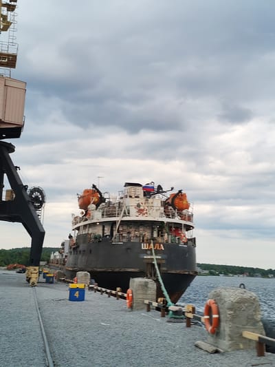 The image captures a scene at a dock in Shal'skii, Russia, with a large cargo ship named "ШАЛА" prominently docked. A large industrial crane is visible on the left side of the frame, partially obscuring the sky. The ship itself is dark-colored with several orange lifeboats mounted on its upper decks. A Russian flag is visible near the top of the ship. The dock is covered in gravel, with several blue and yellow marker buoys scattered along its edge, one of which has the number "4" clearly visible. Concrete bollards with orange life preservers attached are also present. The water is calm and extends to the horizon, where a tree-lined shore is visible under a cloudy sky. No people are clearly visible in the image. The scene suggests a functional port environment, possibly during the loading or unloading of cargo.